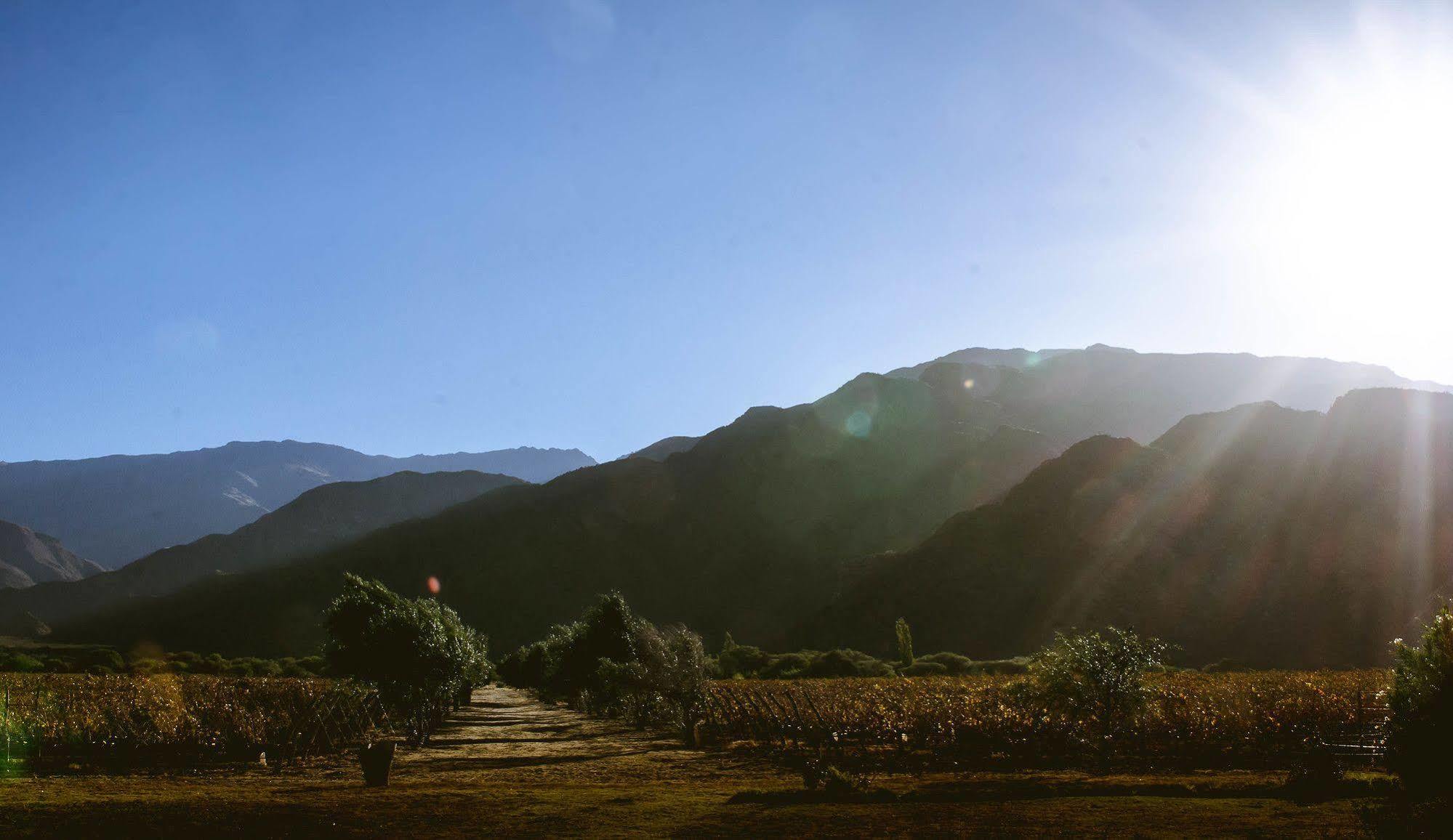 Altalaluna Hotel Boutique & Spa Cafayate Exteriér fotografie